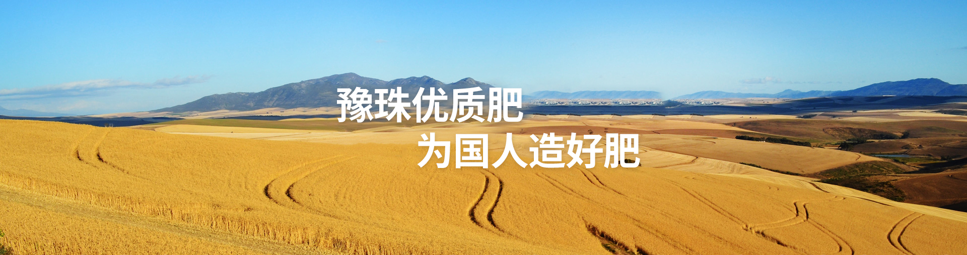 河南部落先锋app官方下载肥业有限责任公司